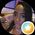 Tia Allen's profile picture